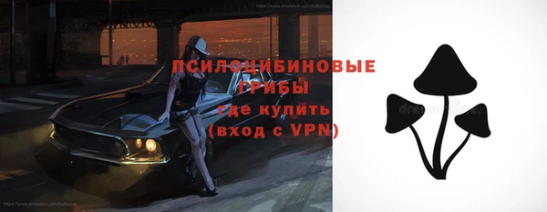 хмурый Богданович