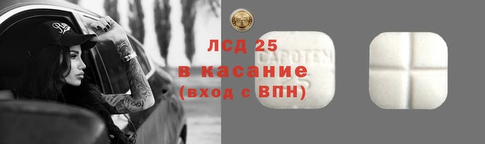 винт Осинники