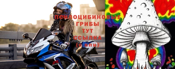 винт Осинники