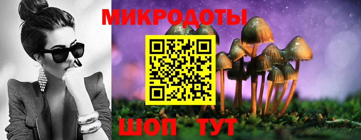 Ялта  Псилоцибиновые грибы мухоморы  Вход с VPN 